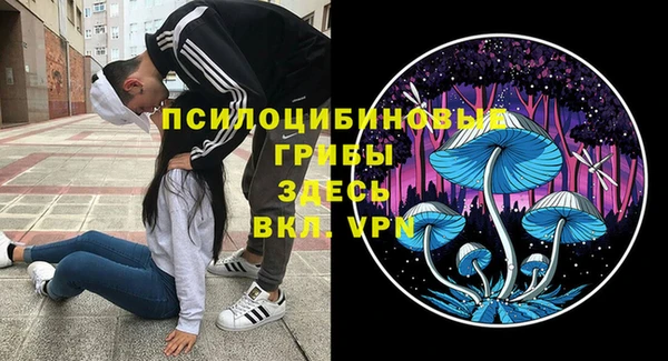 соль курить ск Алексеевка